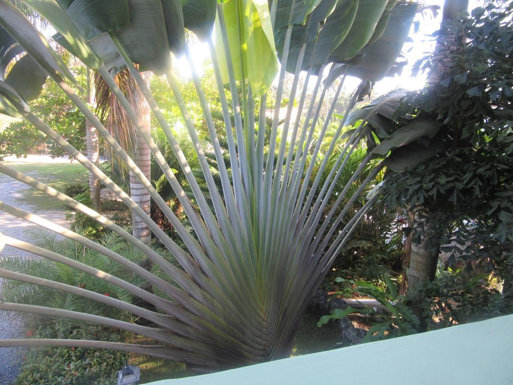 Hotel Cambri Nagua Exterior photo
